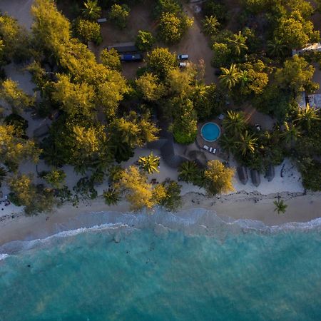 Mikadi Beach Camp&Backpackers Hostel Dar es Salaam Bagian luar foto