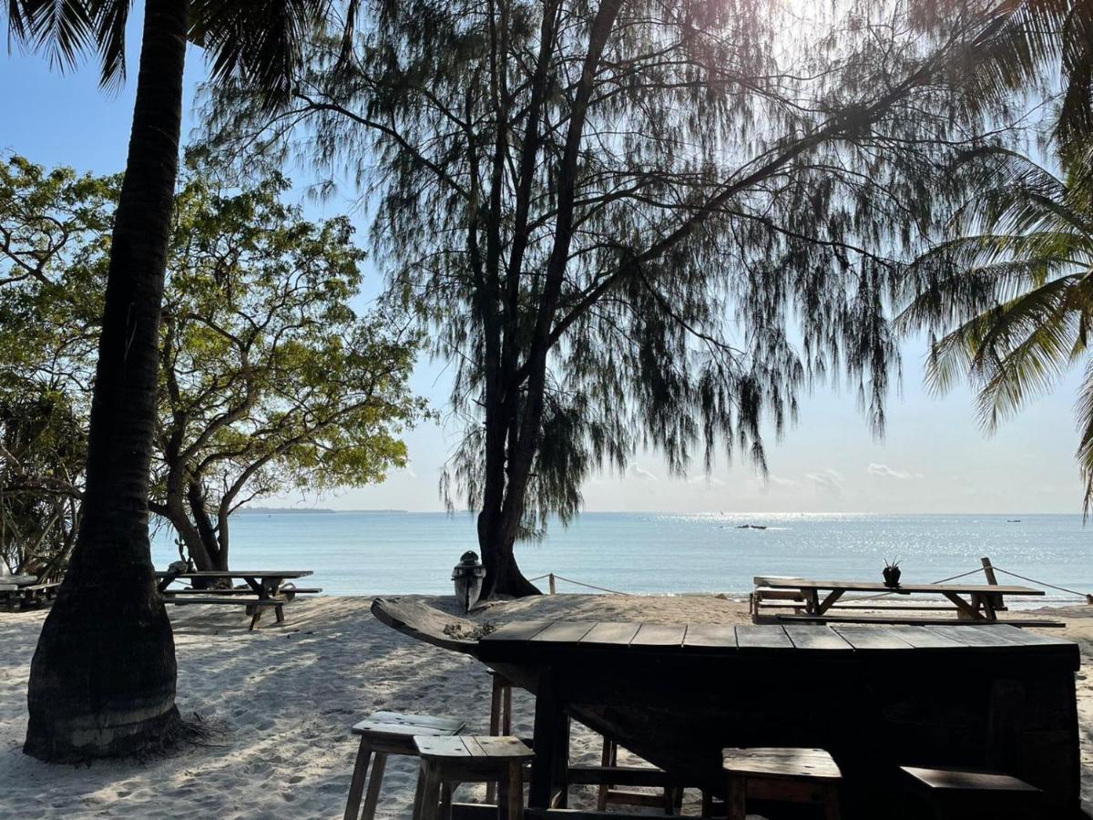Mikadi Beach Camp&Backpackers Hostel Dar es Salaam Bagian luar foto