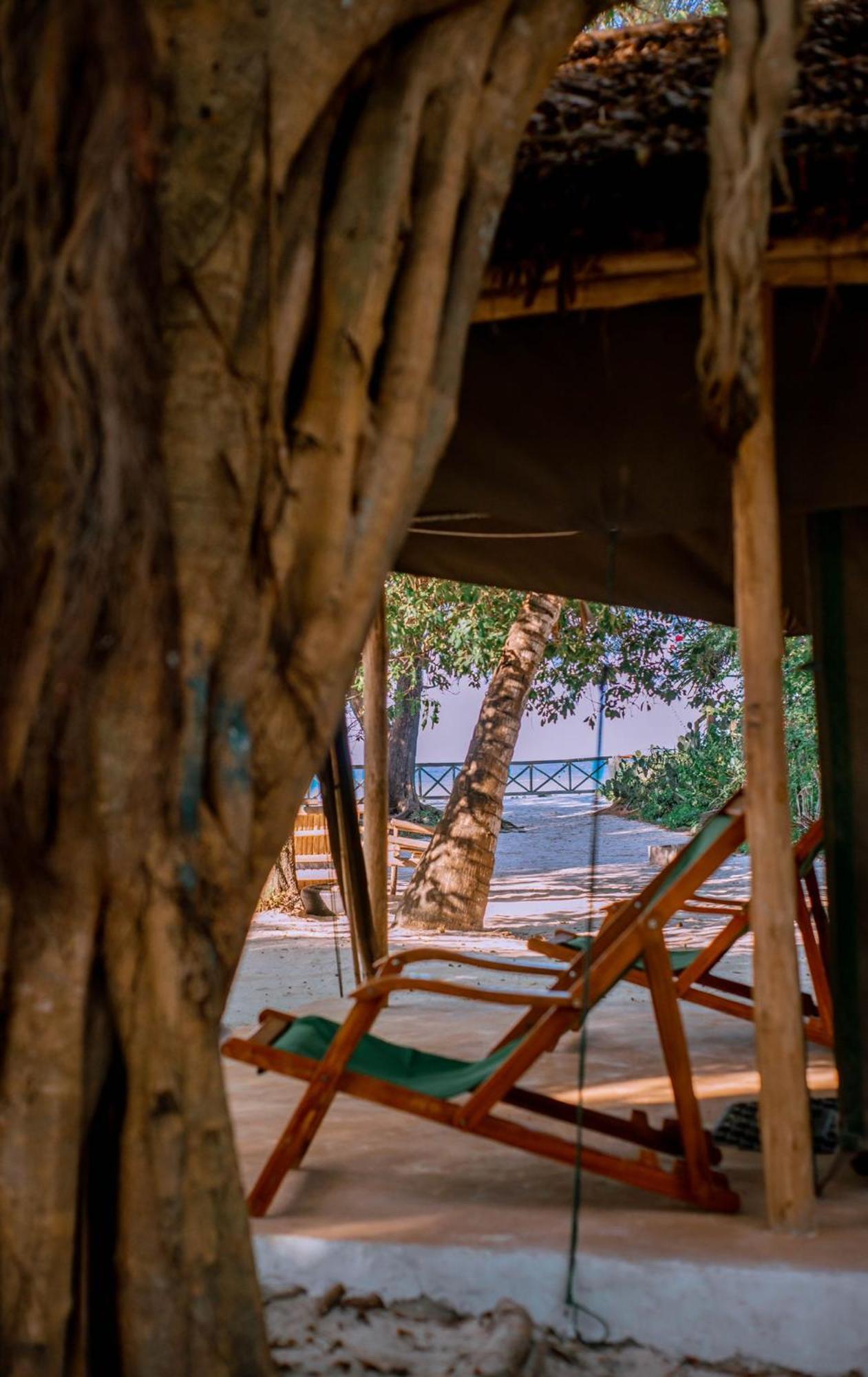 Mikadi Beach Camp&Backpackers Hostel Dar es Salaam Bagian luar foto