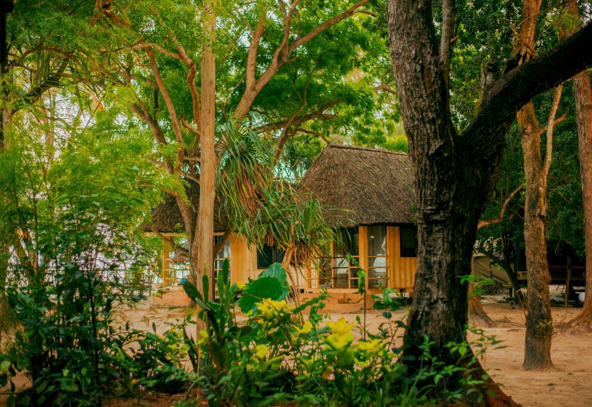 Mikadi Beach Camp&Backpackers Hostel Dar es Salaam Bagian luar foto